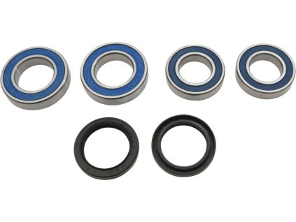 ALL BALLS Sada ložísk a gufier zadného kolesa Ducati Monster 821 '15-'20, Monster 821 '15-'17, Multistrada 950 '18-'20, Multistrada Enduro 1200 '16-'19, Multistrada Enduro 1260 '20, Panigale '14-'15, Panigale 959 '16-'19