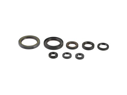ATHENA Sada gufier motora Honda CRF 150R '07-'25