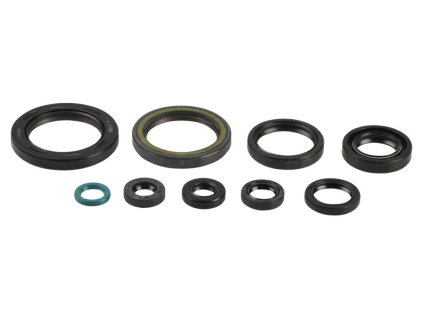 ATHENA Sada gufier motora Honda CRF 450R 09-16