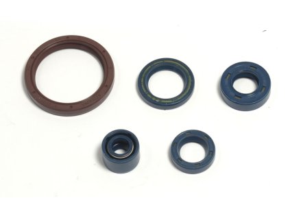 ATHENA Sada gufier motora Husqvarna TE 250 03-09, TE 310 09-10, TE 450/510 03-10, TC 250/310/450