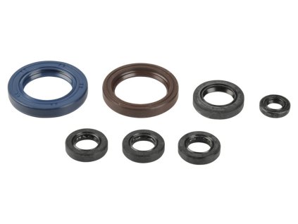 ATHENA Sada gufier motora KTM EXC 250/400/450/520/525 00-06, SXF 400/450/520/525 00-06