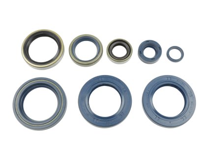ATHENA Sada gufier motora KTM LC4 625/640/660 '03-07