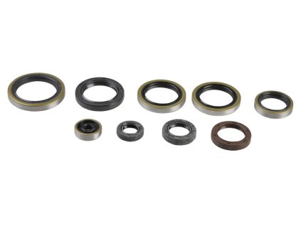 ATHENA Sada gufier motora KTM EXC 250/300 04-16, SX 250 03-16