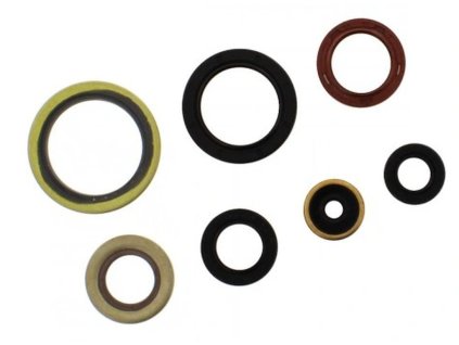 ATHENA Sada gufier motora Gas Gas EC 2T 250 / 300 '21-'25, KTM EXC 250 / 300 '17-'25, EXC 250 TPI '18-'25, SX 250 '17-'25, Husqvarna TE 250 / 300 '17-'25