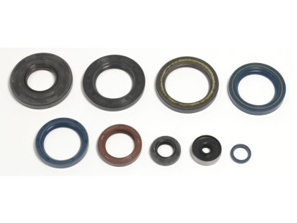 ATHENA Sada gufier motora KTM SX250`90-02, EXC250//300`90-03, EXC360/380`95-98