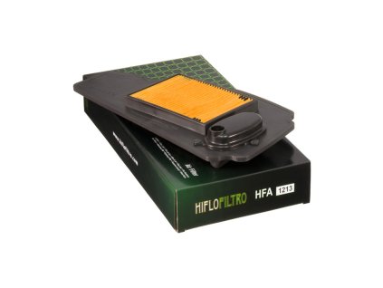 HIFLOFILTRO Vzduchový filter Honda NSS 250 Forza X/EX 05-07