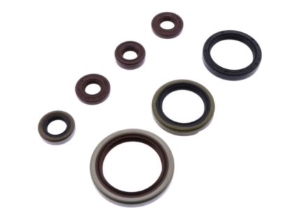 ATHENA Sada gufier motora Sherco SE-R 250/300 14-20