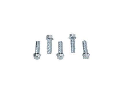 ACCEL Prírubová skrutka M6 × 20 mm s Plochou hlavou – bez označenia (5 ks)
