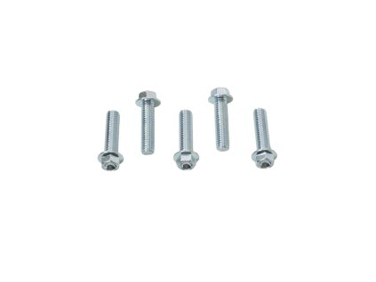 ACCEL Prírubová skrutka M8 × 30 mm so Zapustenou hlavou – bez označenia (5 ks)