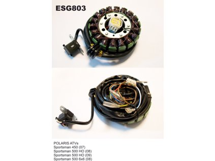 electrosport uzwojenie alternatora stator polari