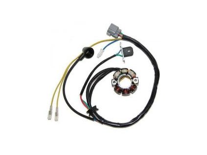 electrosport uzwojenie alternatora stator ze swi