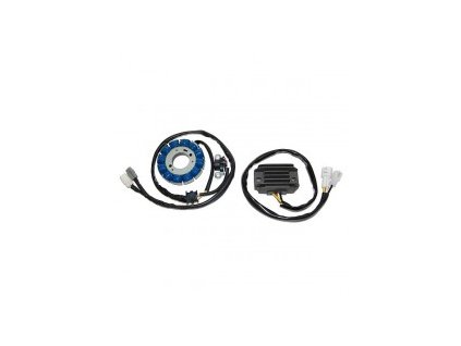 electrosport uzwojenie alternatora stator ze swi