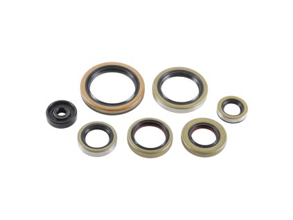 BEARING WORX Sada gufier motora KTM SX/XC/XC-W 250/300