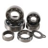 HOT RODS Opravná sada prevodovky Suzuki LTR 450 06-09